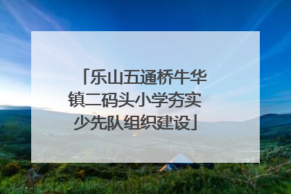 乐山五通桥牛华镇二码头小学夯实少先队组织建设